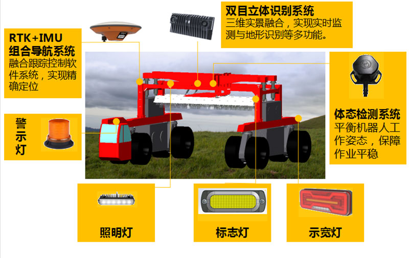 ��ɫ����